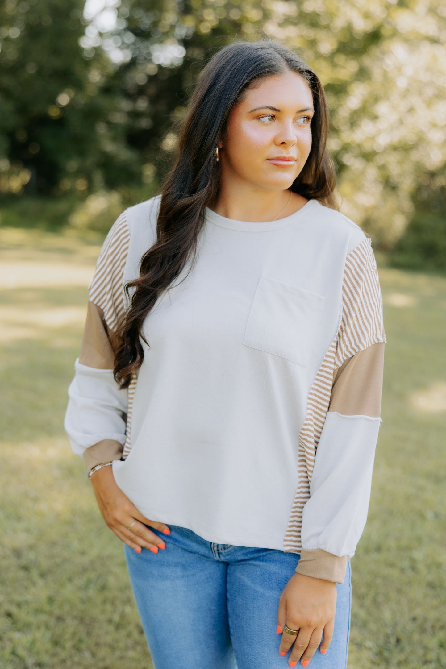 Taupe Multi Stripe Top