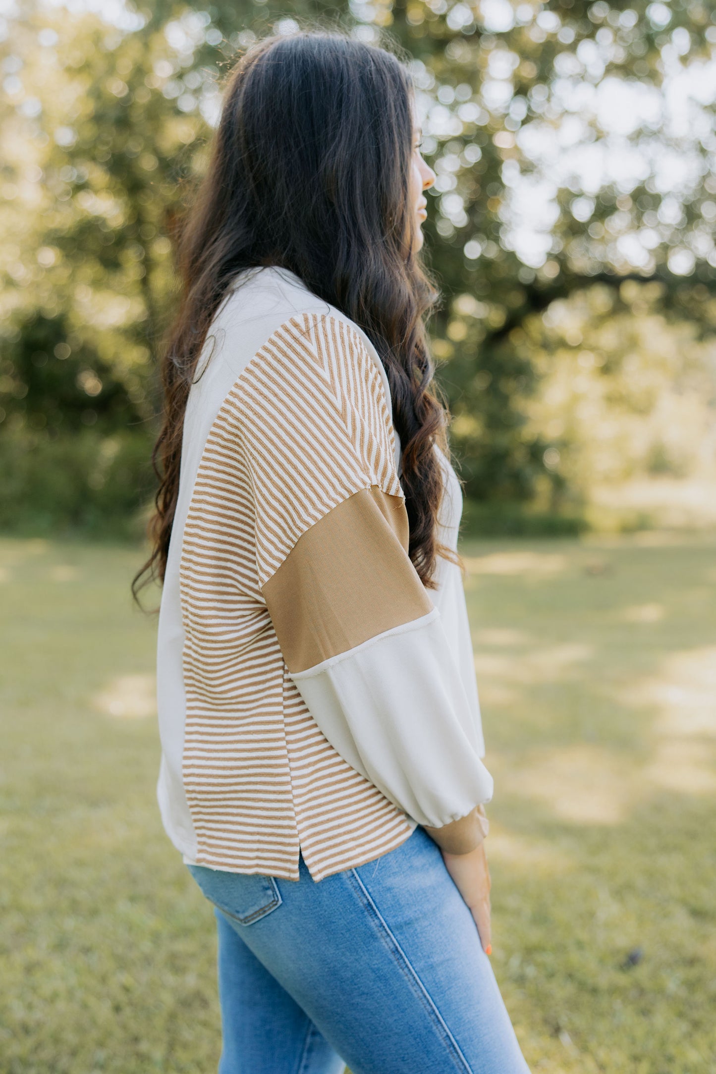 Taupe Multi Stripe Top